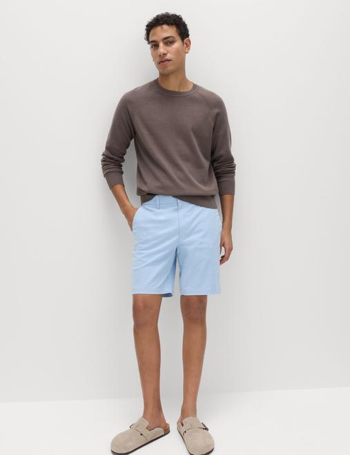 Regular Fit Stretch Chino Shorts