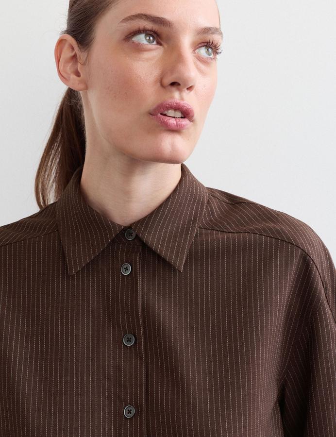 Wool Rich Pinstripe Collared Shirt