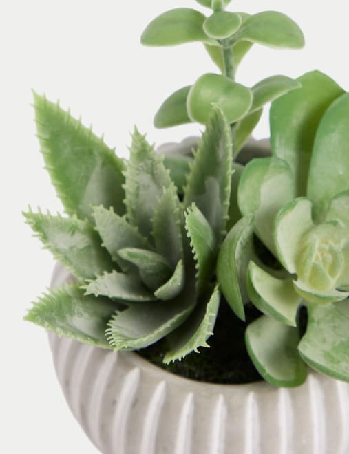 Artificial Succulents in Cement Pot