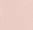 PINK SHELL
