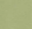 FERN GREEN