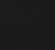 BLACK/