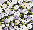 LILAC MIX