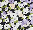 LILAC MIX