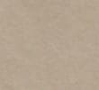 PUTTY/