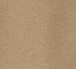 NEUTRAL