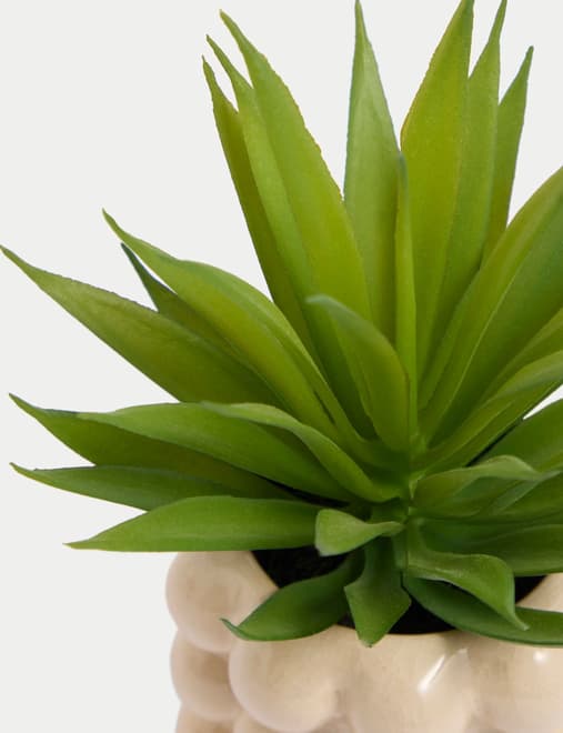 Artificial Mini Air Plant in Bobble Ceramic Pot