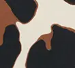 BROWN MIX