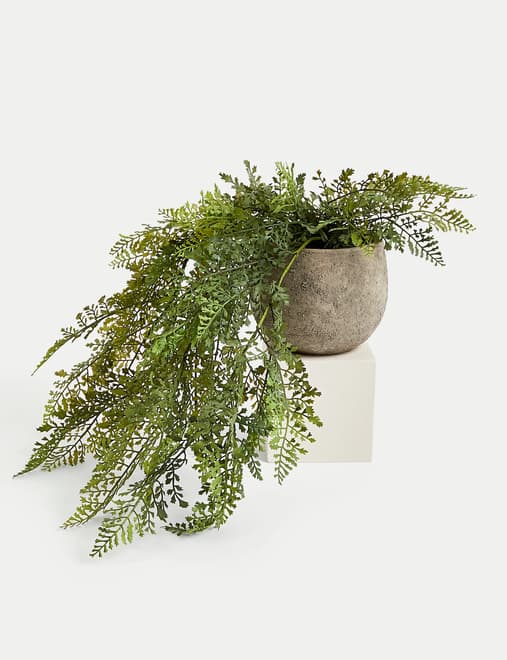 product-main-image