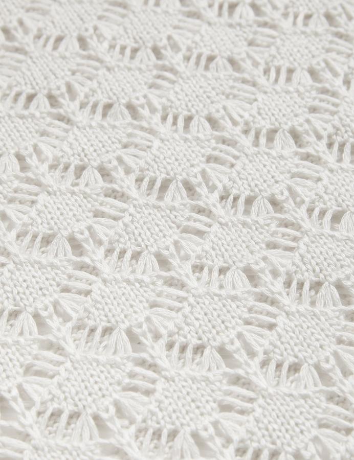 Pointelle Crew Neck Tipped Detail Knitted Top