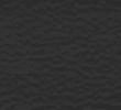 BLACK/