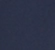 NAVY/