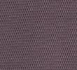 DUSTED PLUM