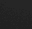 BLACK/
