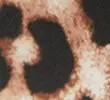 BROWN MIX