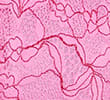 PINK MIX