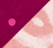 PINK MIX