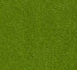 FERN GREEN