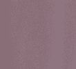 DUSTED PLUM