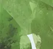 GREEN MIX