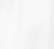 WHITE/