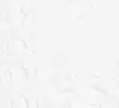 SOFT WHITE