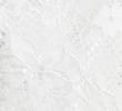 WHITE/