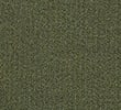 KHAKI/
