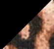 BLACK MIX