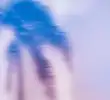 BLUE MIX
