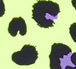 LIME/