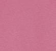 RASPBERRY/