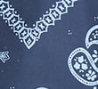 NAVY/