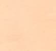 ORANGE/