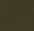 DARK KHAKI