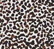 IVORY MIX