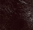 DARK CLARET