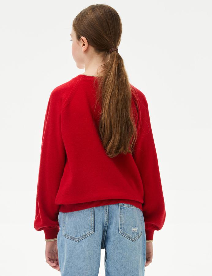Festive Cat Knitted Jumper (6-16 Yrs)