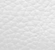WHITE/