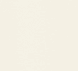 IVORY/