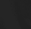 BLACK/