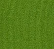 FERN GREEN