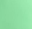 BRIGHT MINT