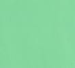 BRIGHT MINT