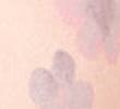 MELBA BLUSH
