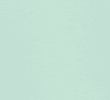 LIGHT MINT