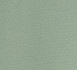 DUSTY GREEN