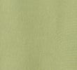 FERN GREEN