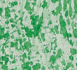 LIGHT GREEN MIX