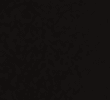 BLACK/